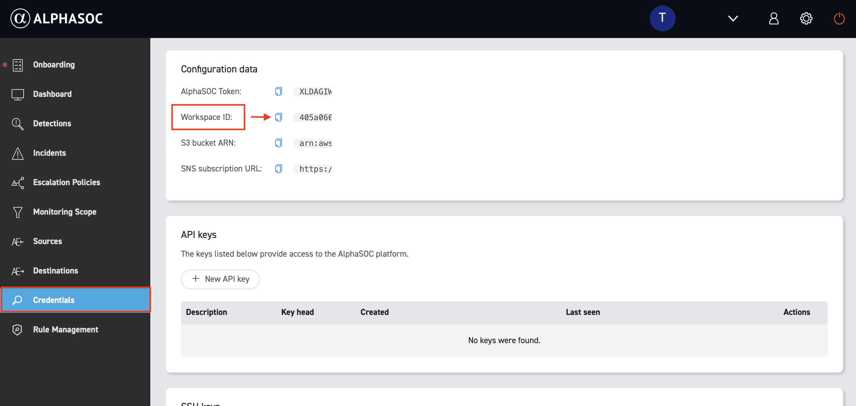 console_workspace_id